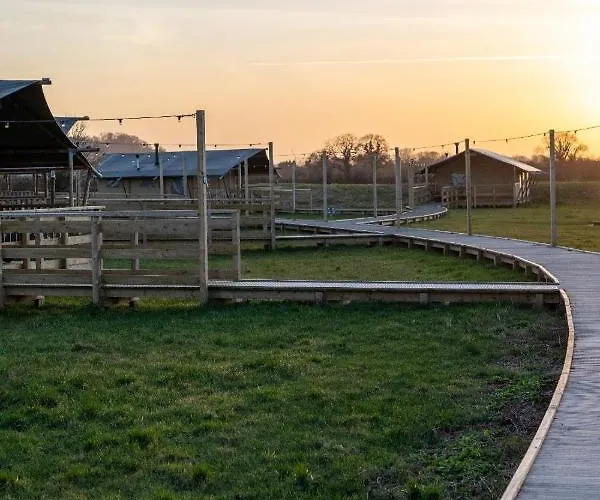 The Camp At The Wave