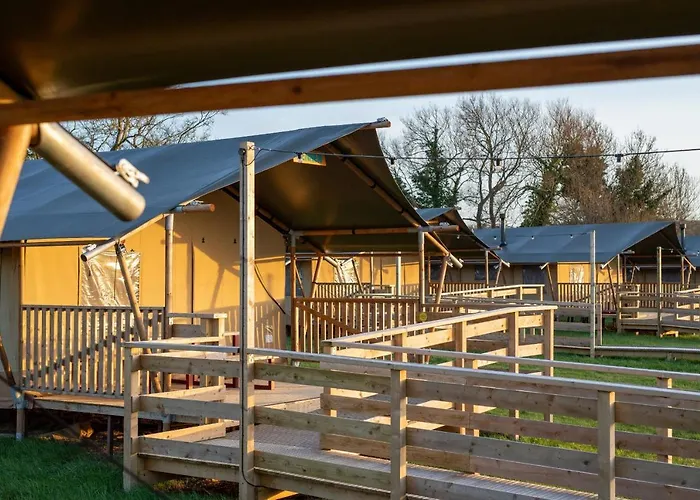 Glamping The Camp At The Wave