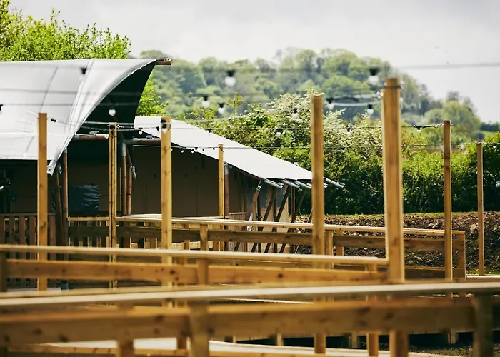 Glamping The Camp At The Wave