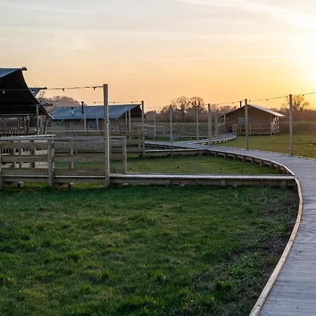 The Camp At The Wave